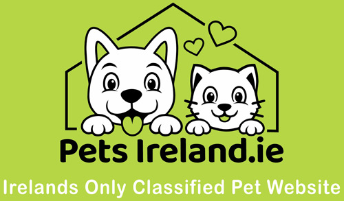 Pets Ireland